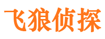 临河市私家侦探